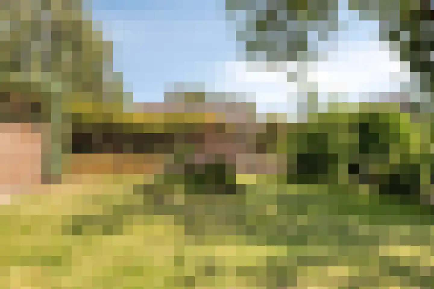 Eerbeekseweg 108 Loenen thumbnail 55