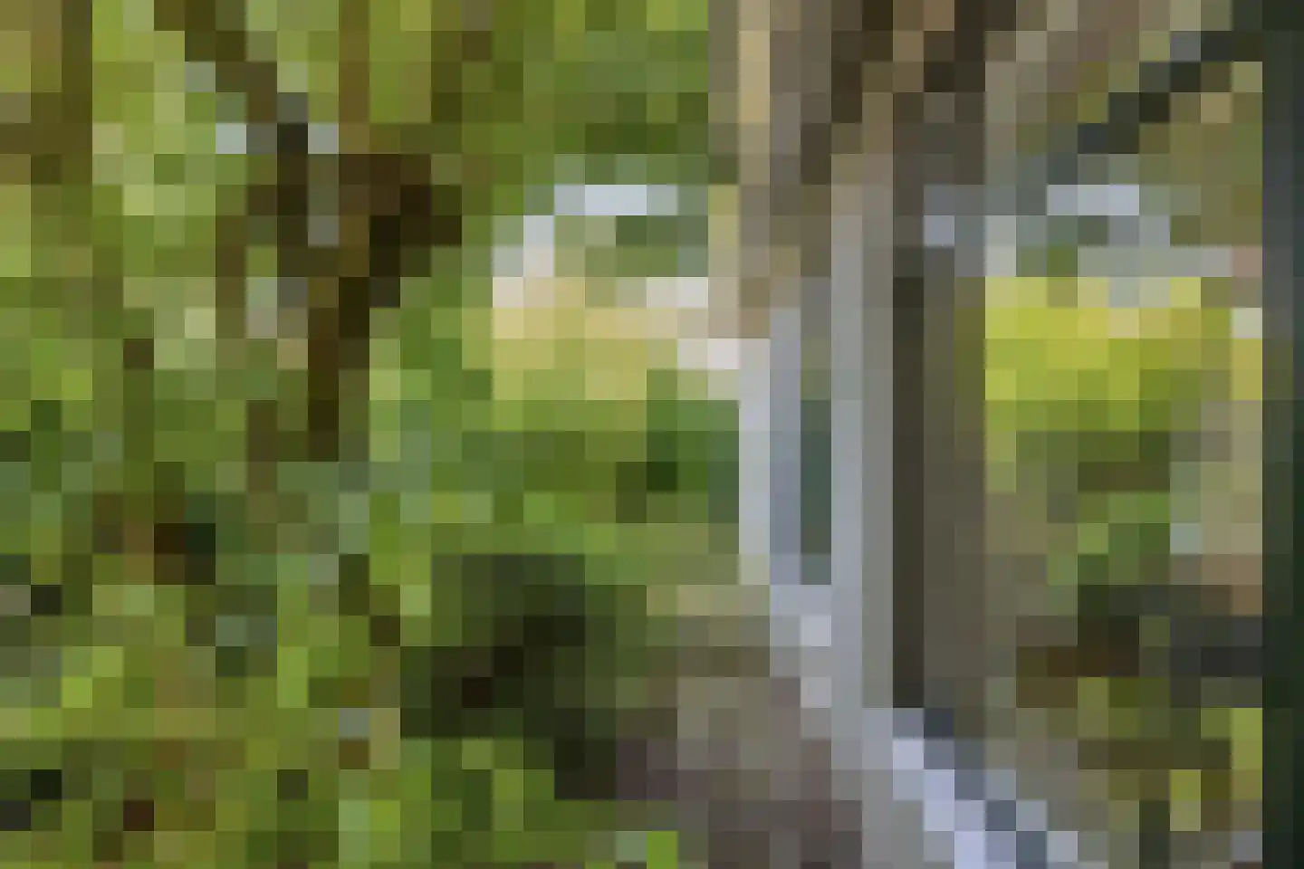 Eerbeekseweg 108 Loenen thumbnail 56