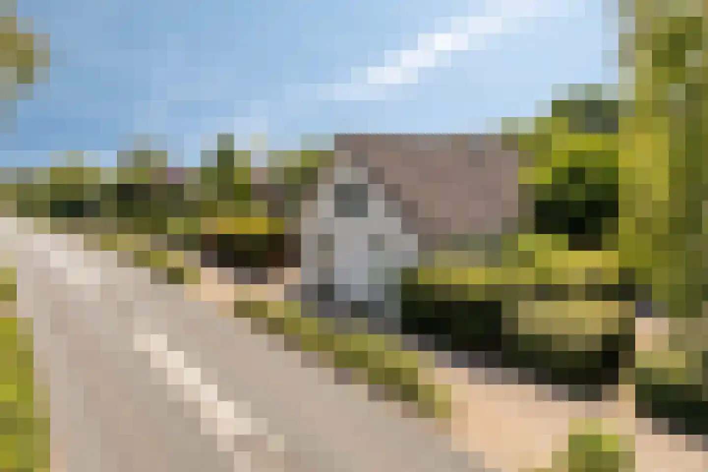 Eerbeekseweg 108 Loenen thumbnail 59