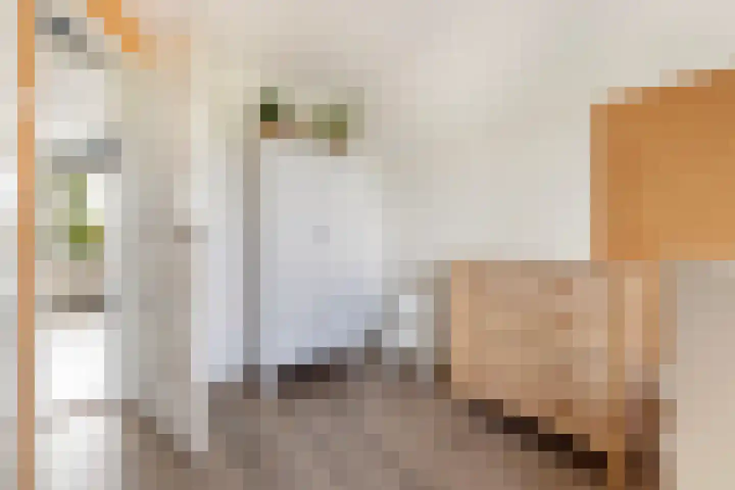 Eerbeekseweg 113 Loenen thumbnail 39