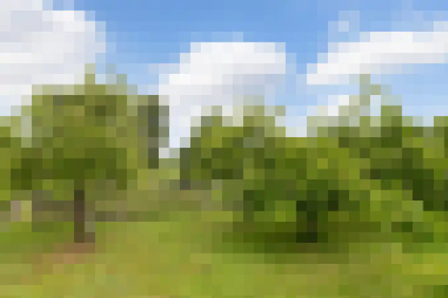 Eerbeekseweg 113 Loenen thumbnail 53