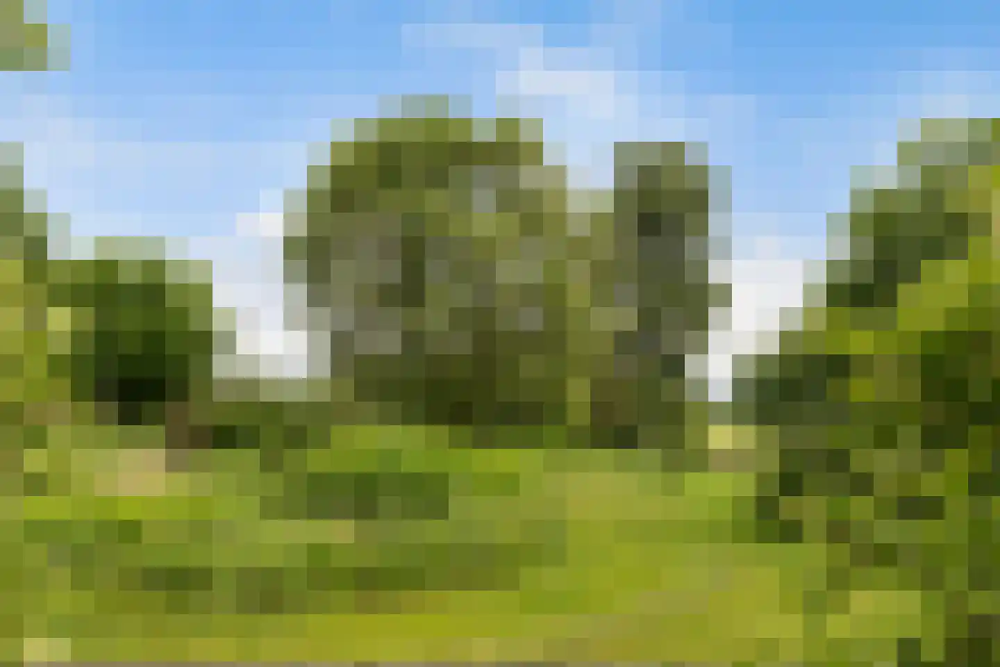 Eerbeekseweg 113 Loenen thumbnail 54