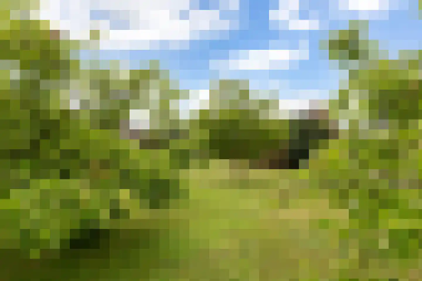 Eerbeekseweg 113 Loenen thumbnail 55