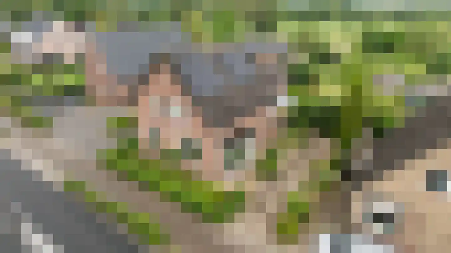 Eerbeekseweg 113 Loenen thumbnail 57