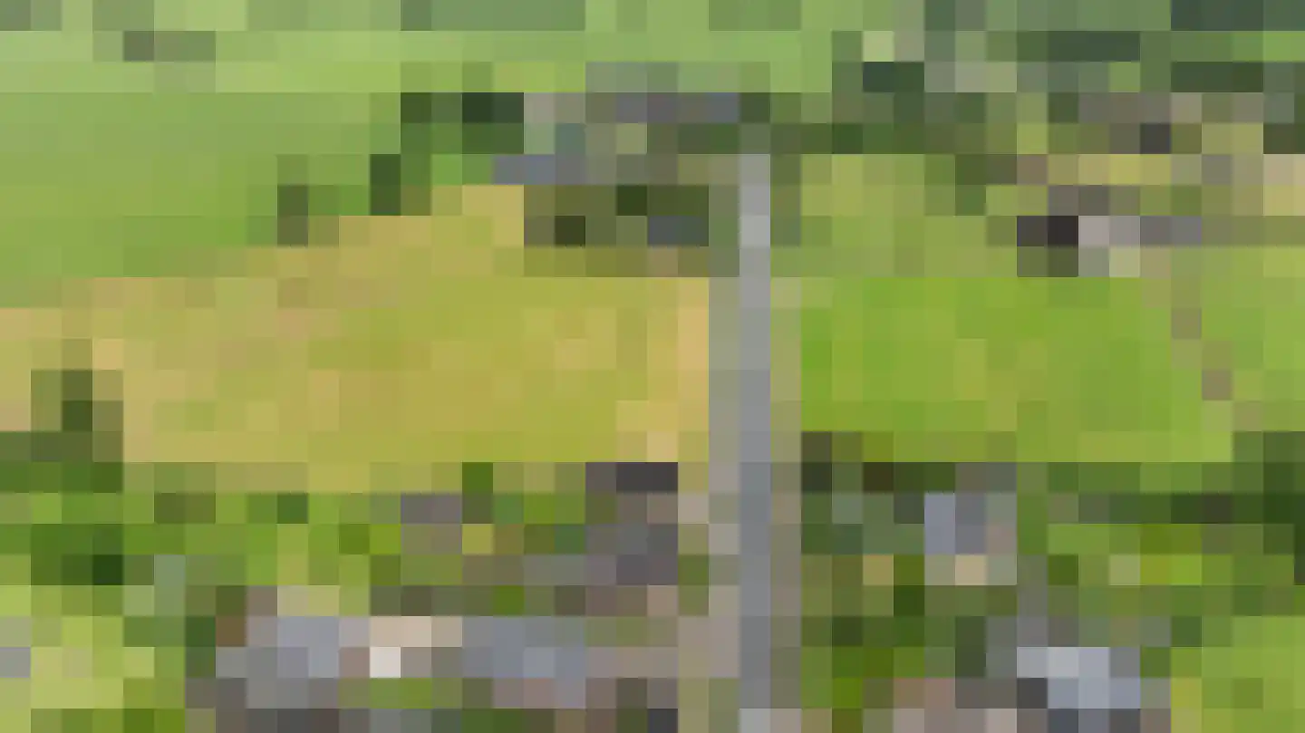 Eerbeekseweg 113 Loenen thumbnail 61