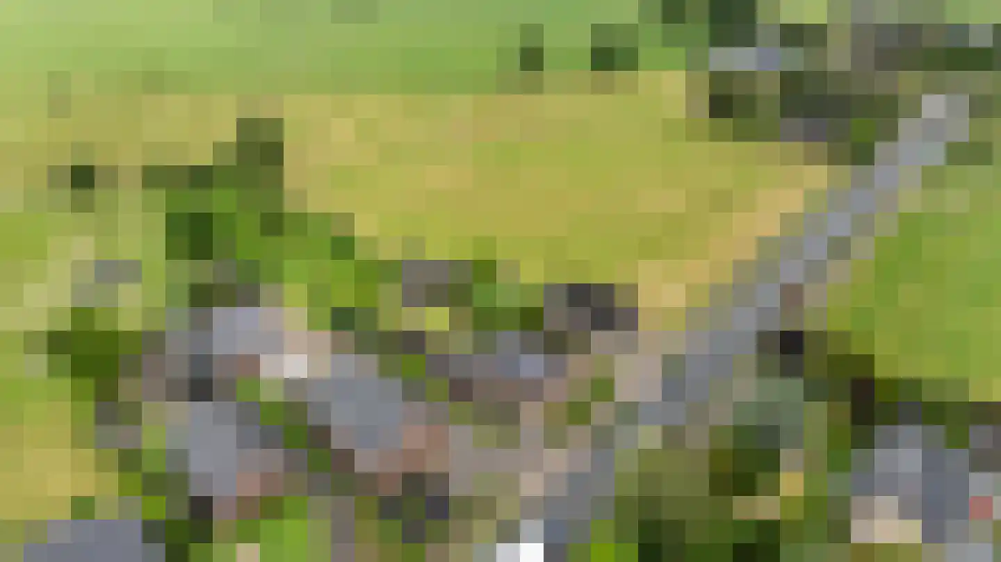 Eerbeekseweg 113 Loenen thumbnail 62