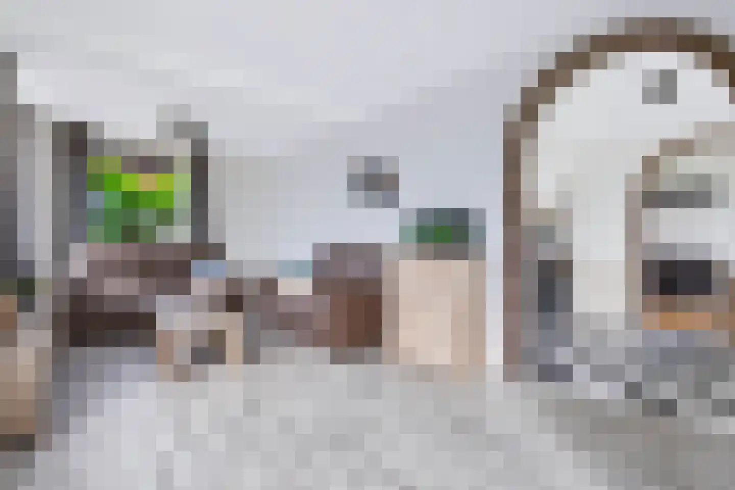 Eerbeekseweg 115 Loenen thumbnail 12