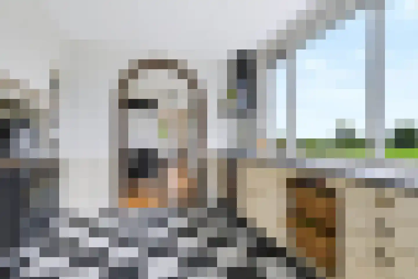 Eerbeekseweg 115 Loenen thumbnail 13