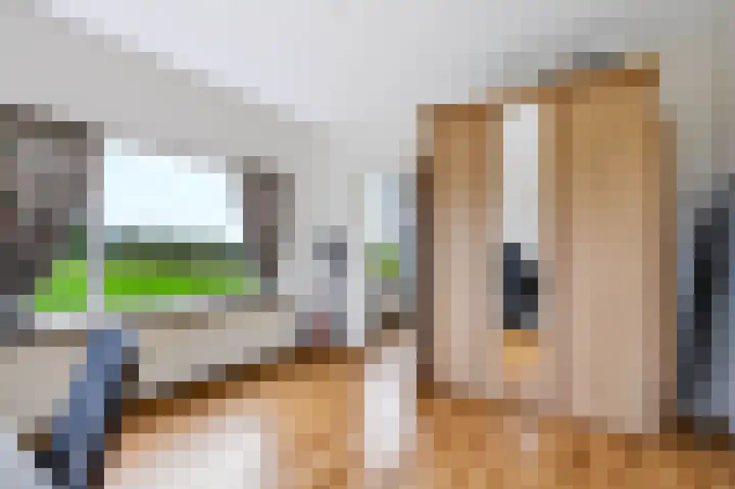 Eerbeekseweg 115 Loenen thumbnail 17
