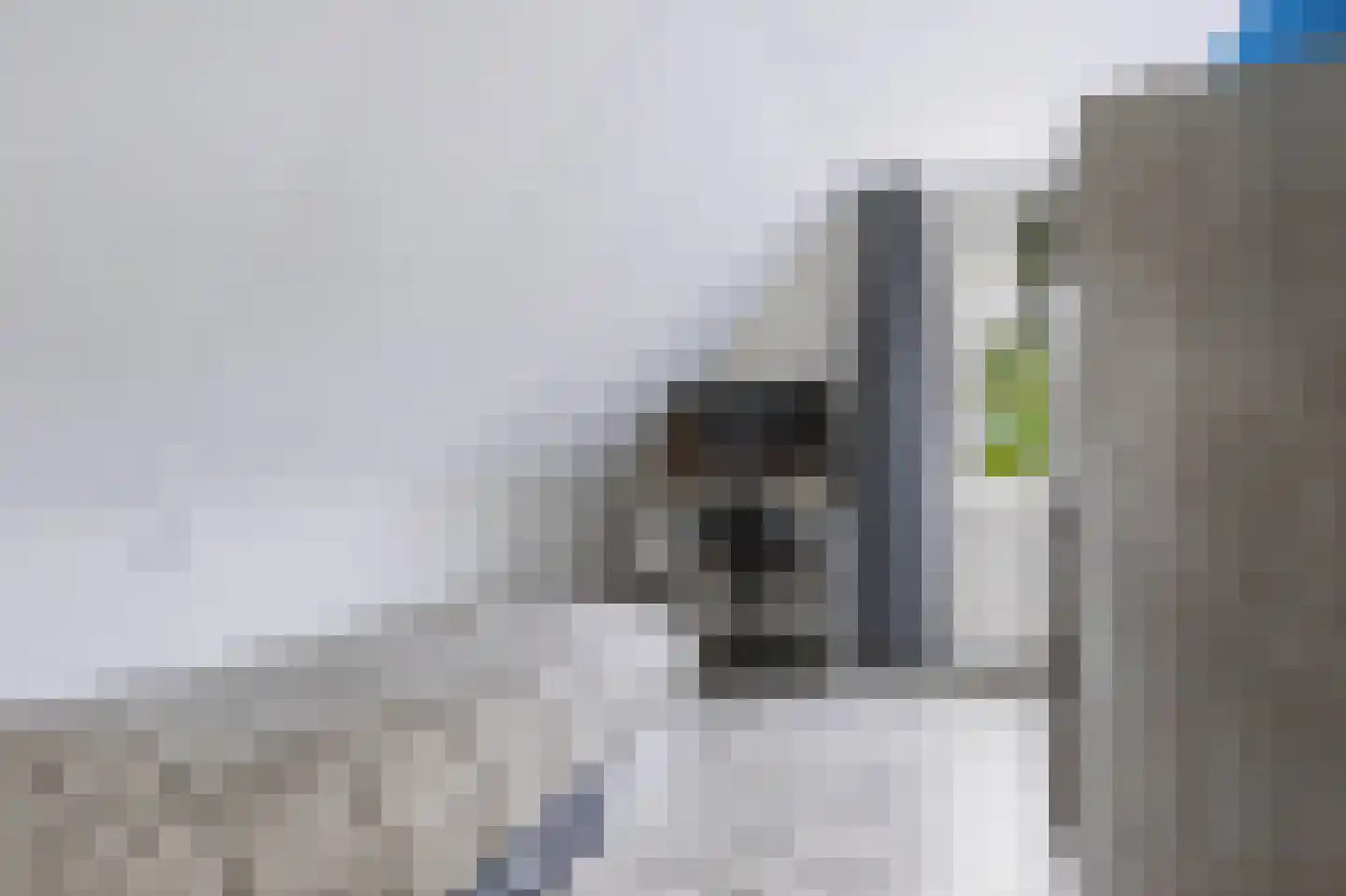 Eerbeekseweg 115 Loenen thumbnail 25
