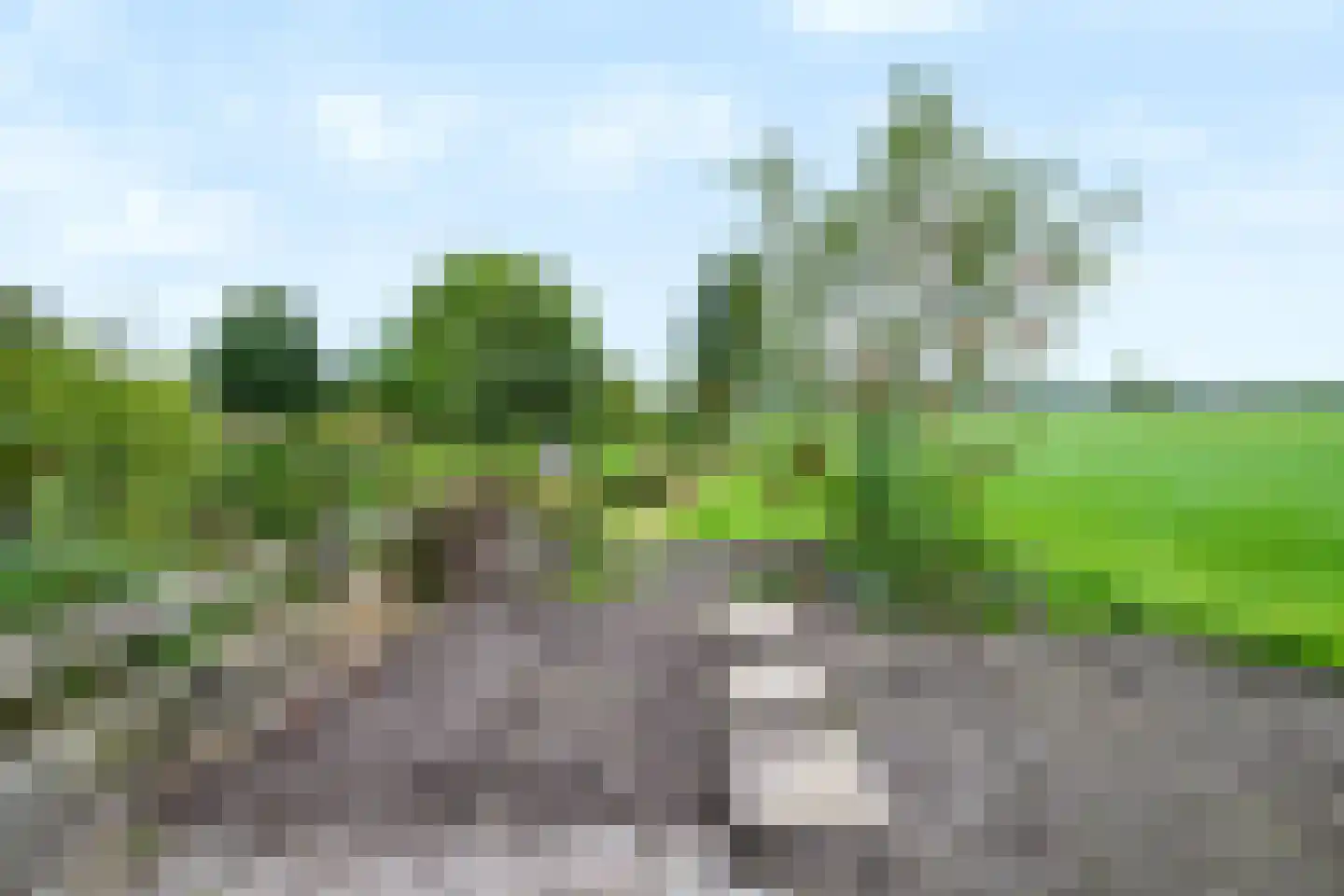 Eerbeekseweg 115 Loenen thumbnail 29