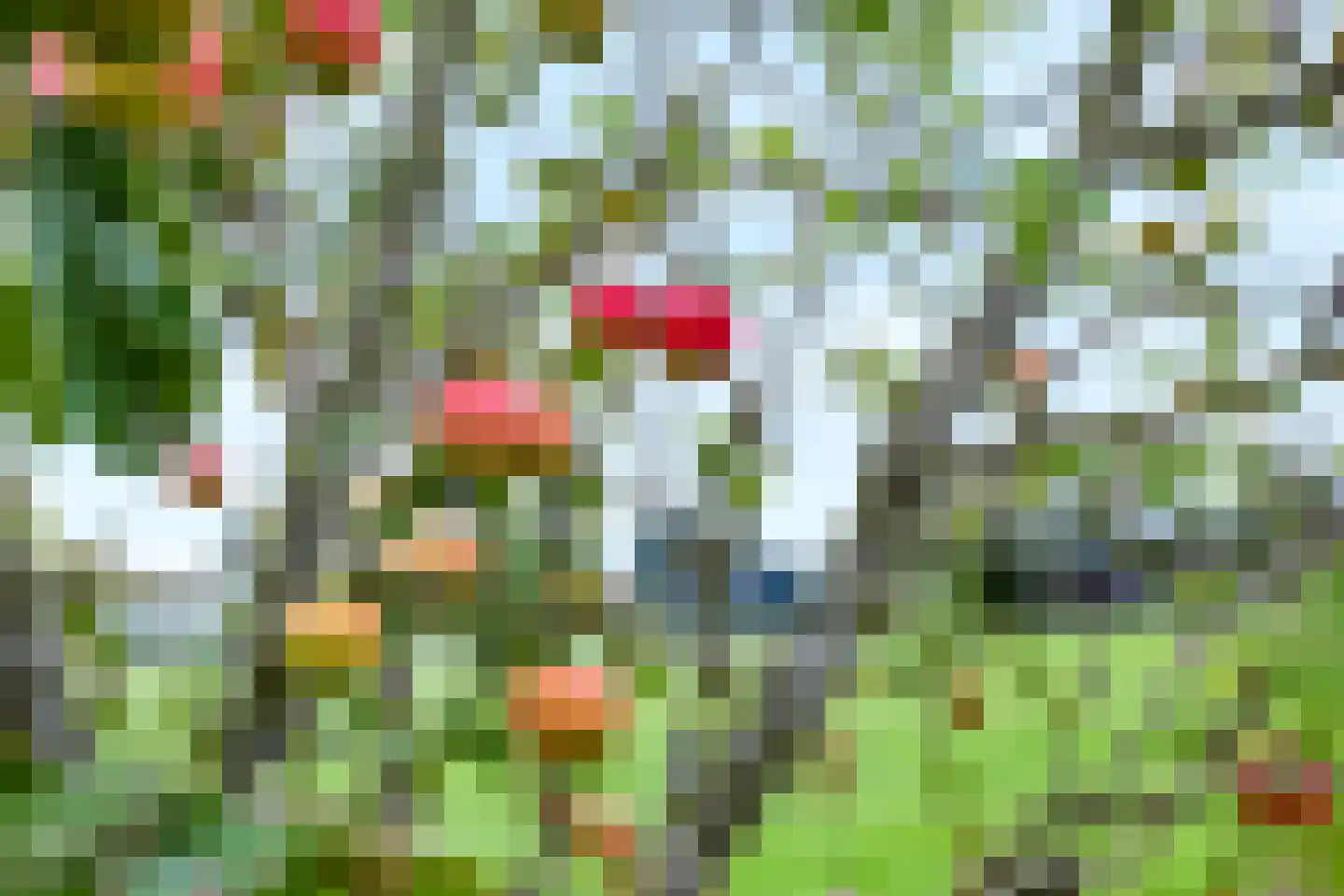 Eerbeekseweg 115 Loenen thumbnail 32