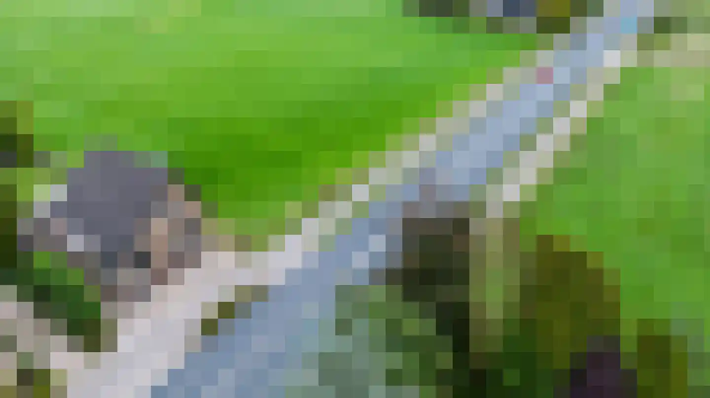Eerbeekseweg 115 Loenen thumbnail 33