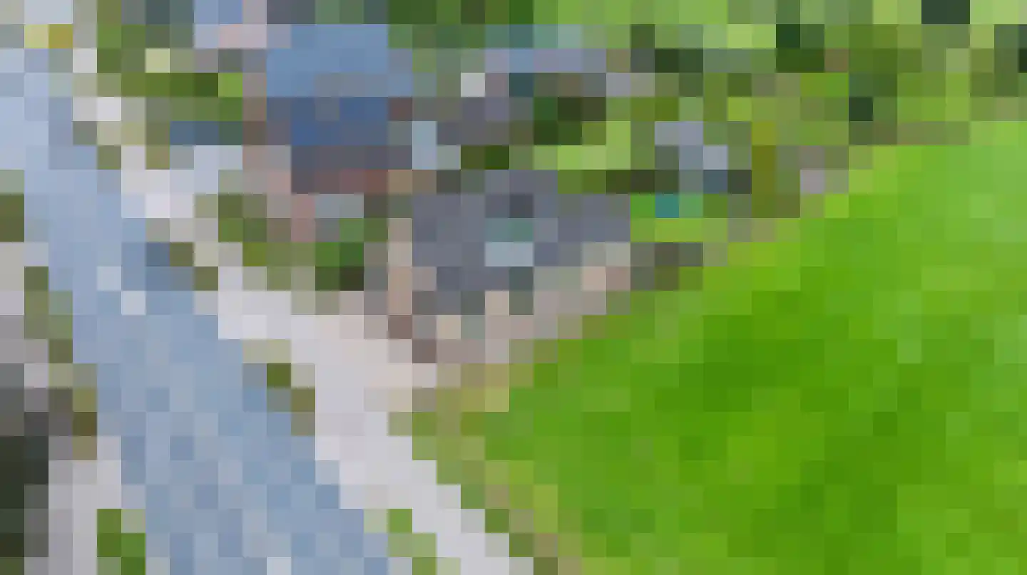 Eerbeekseweg 115 Loenen thumbnail 35