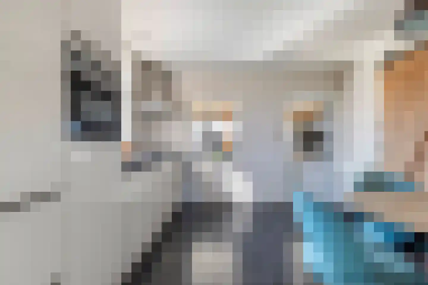Eerbeekseweg 132 Loenen thumbnail 11
