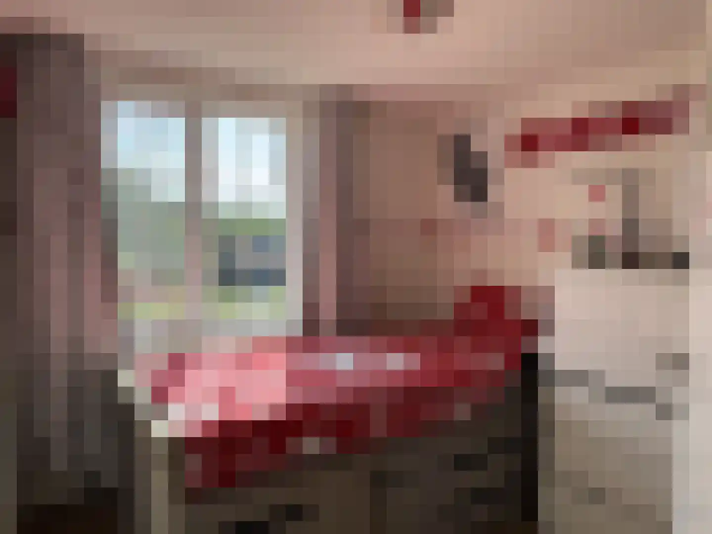 Eerbeekseweg 132 Loenen thumbnail 24