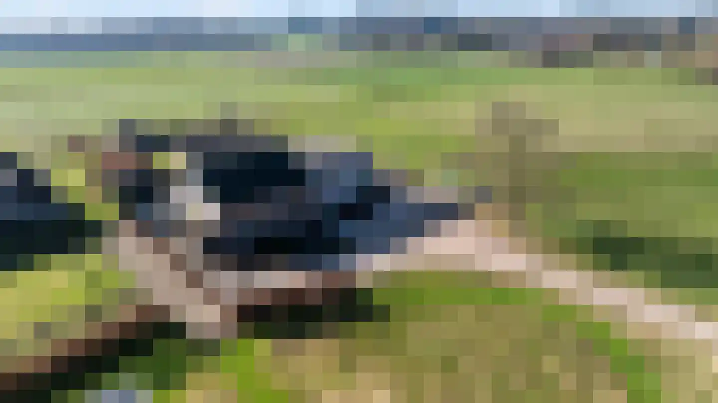 Eerbeekseweg 132 Loenen thumbnail 29