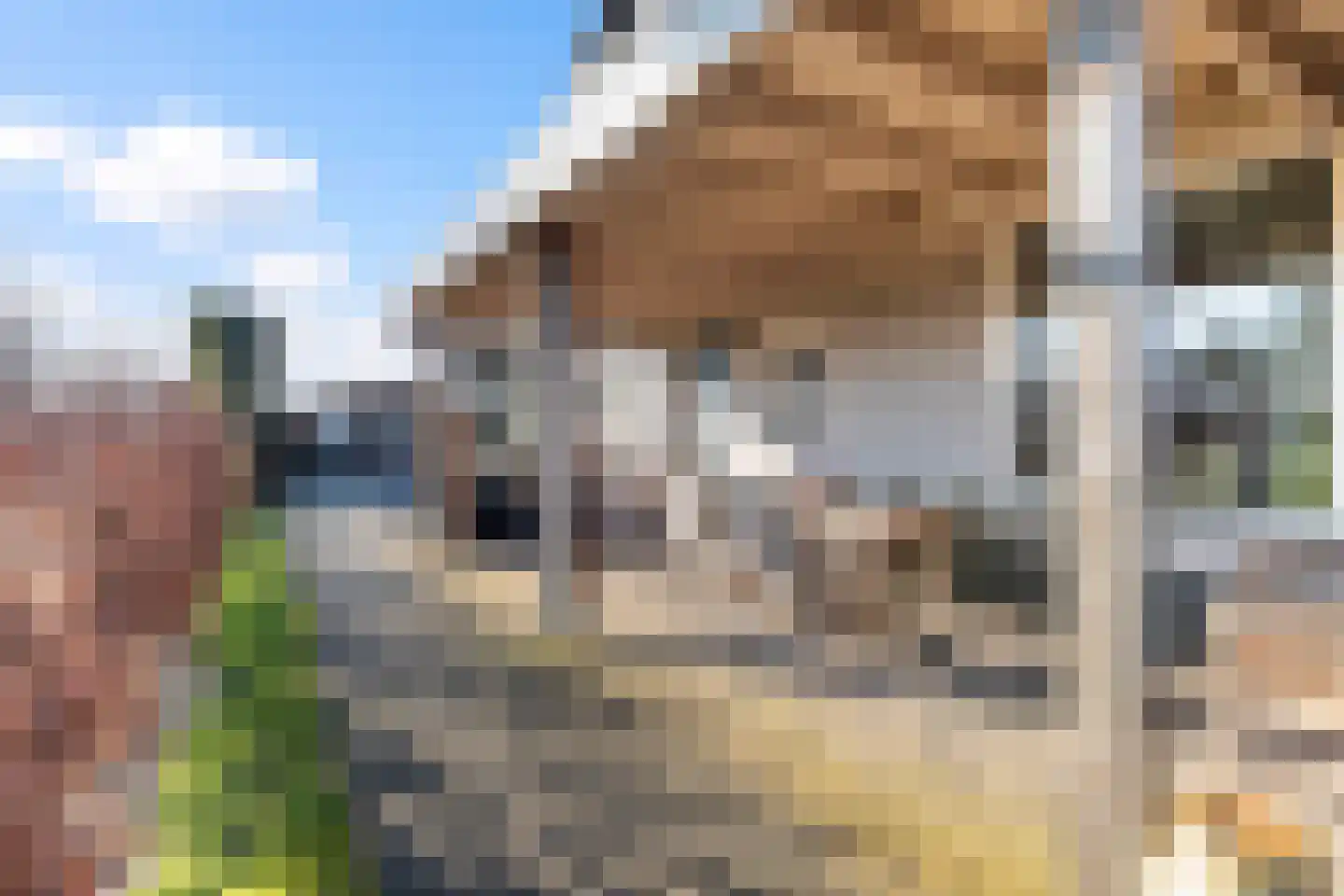 Eerbeekseweg 132 Loenen thumbnail 4