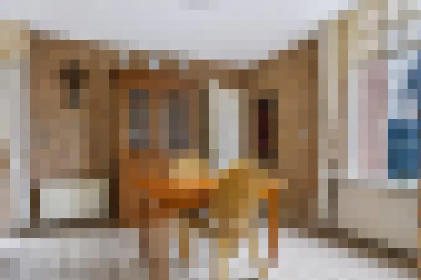 Eerbeekseweg 20 Loenen thumbnail 15