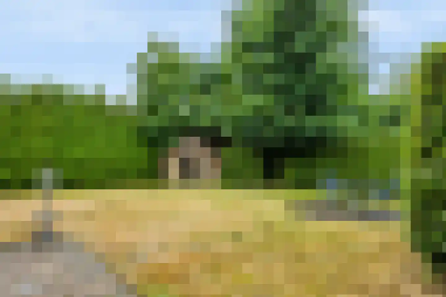 Eerbeekseweg 20 Loenen thumbnail 17