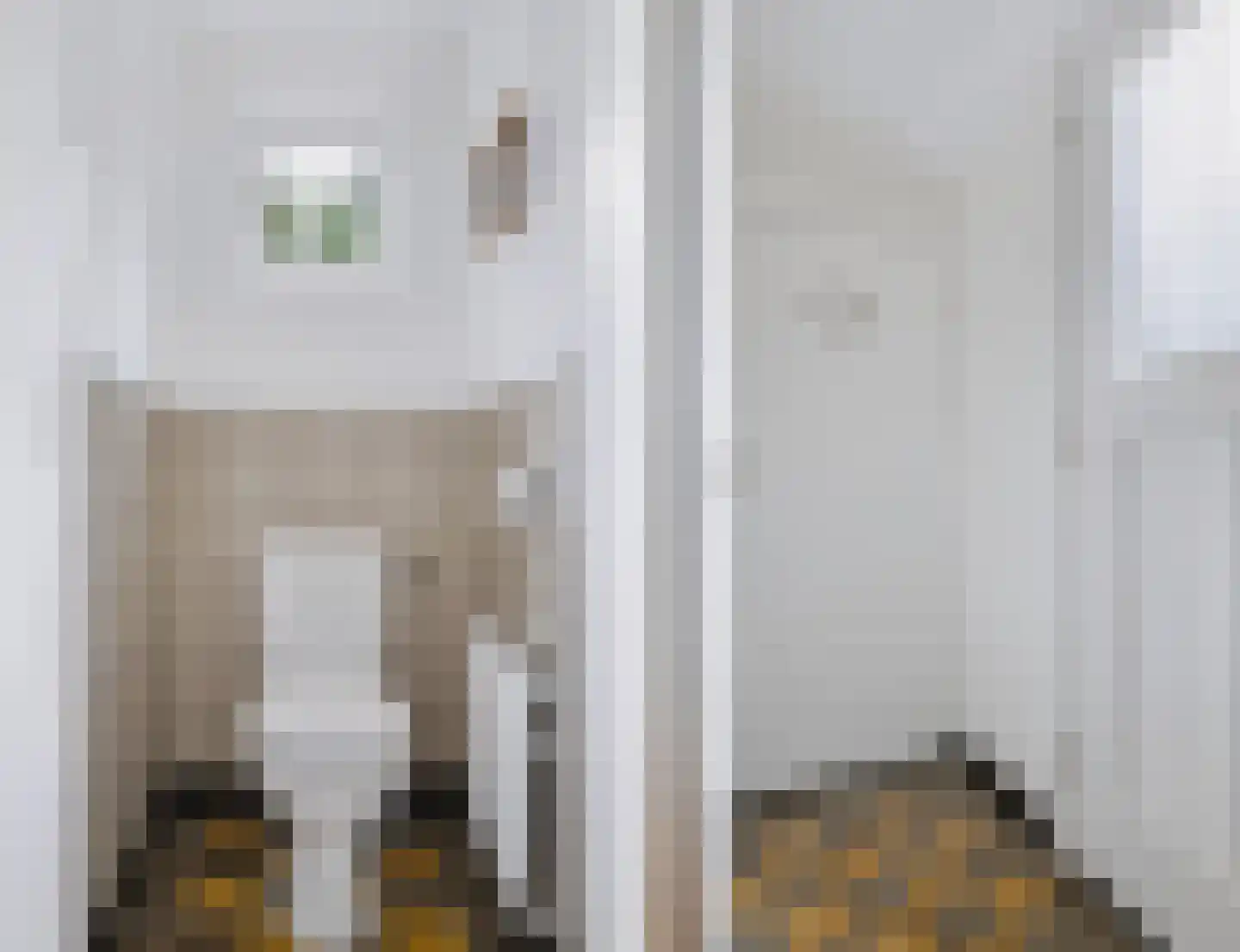 Eerbeekseweg 20 Loenen thumbnail 21
