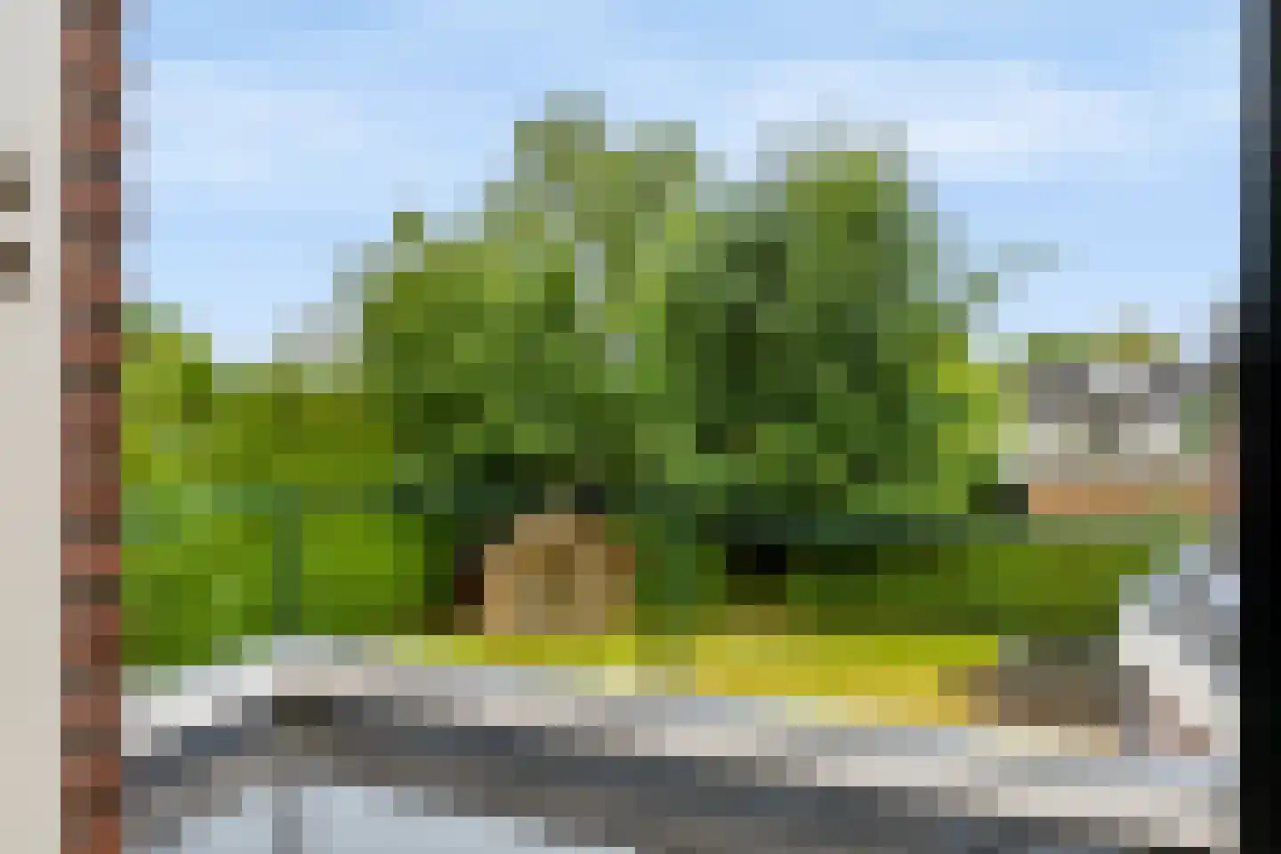 Eerbeekseweg 20 Loenen thumbnail 29