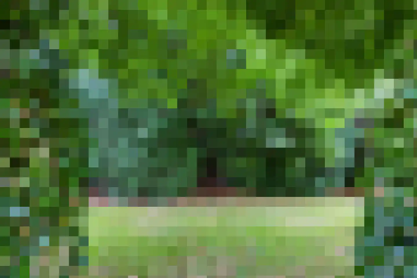 Eerbeekseweg 20 Loenen thumbnail 33