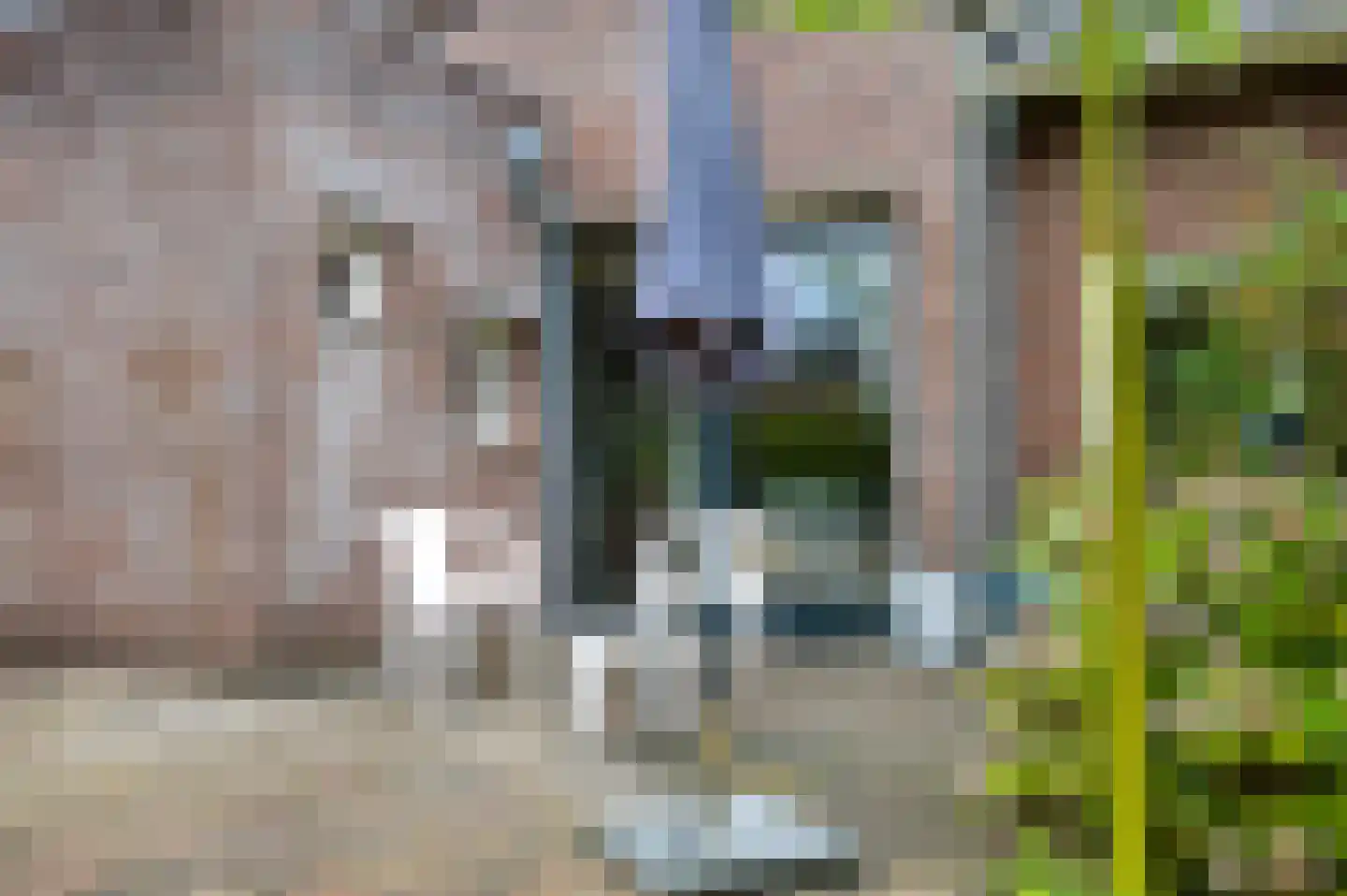 Eerbeekseweg 20 Loenen thumbnail 36