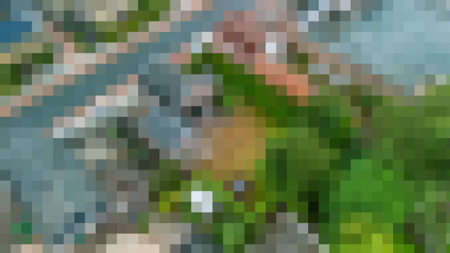 Eerbeekseweg 20 Loenen thumbnail 4