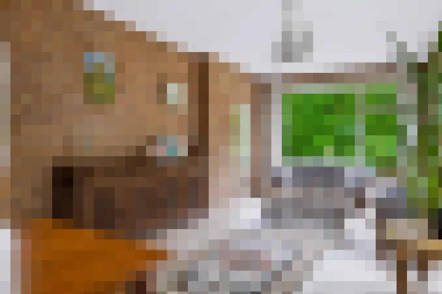 Eerbeekseweg 20 Loenen thumbnail 8