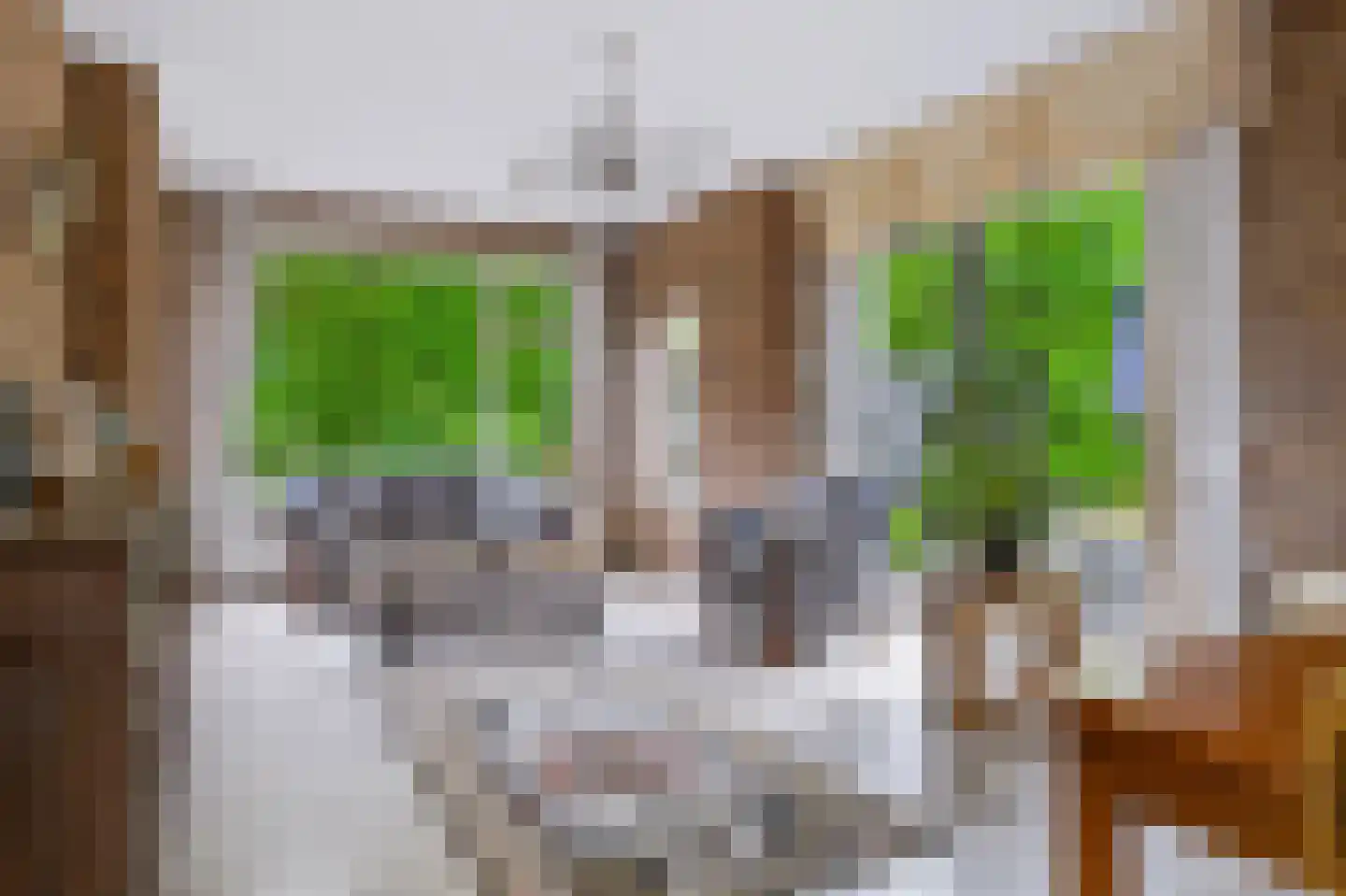 Eerbeekseweg 20 Loenen thumbnail 9