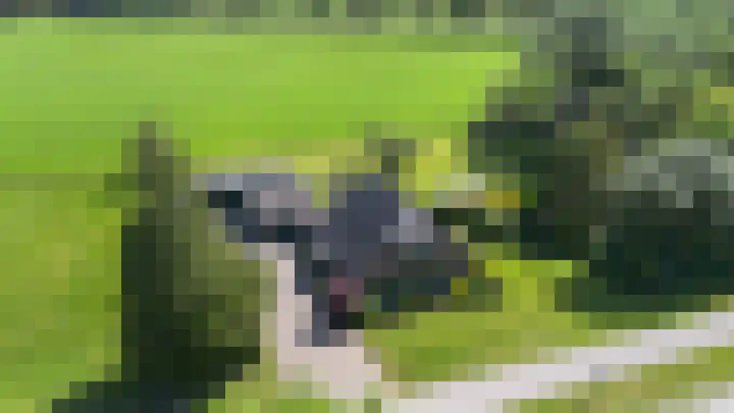 Eerbeekseweg 28 Hall thumbnail 10