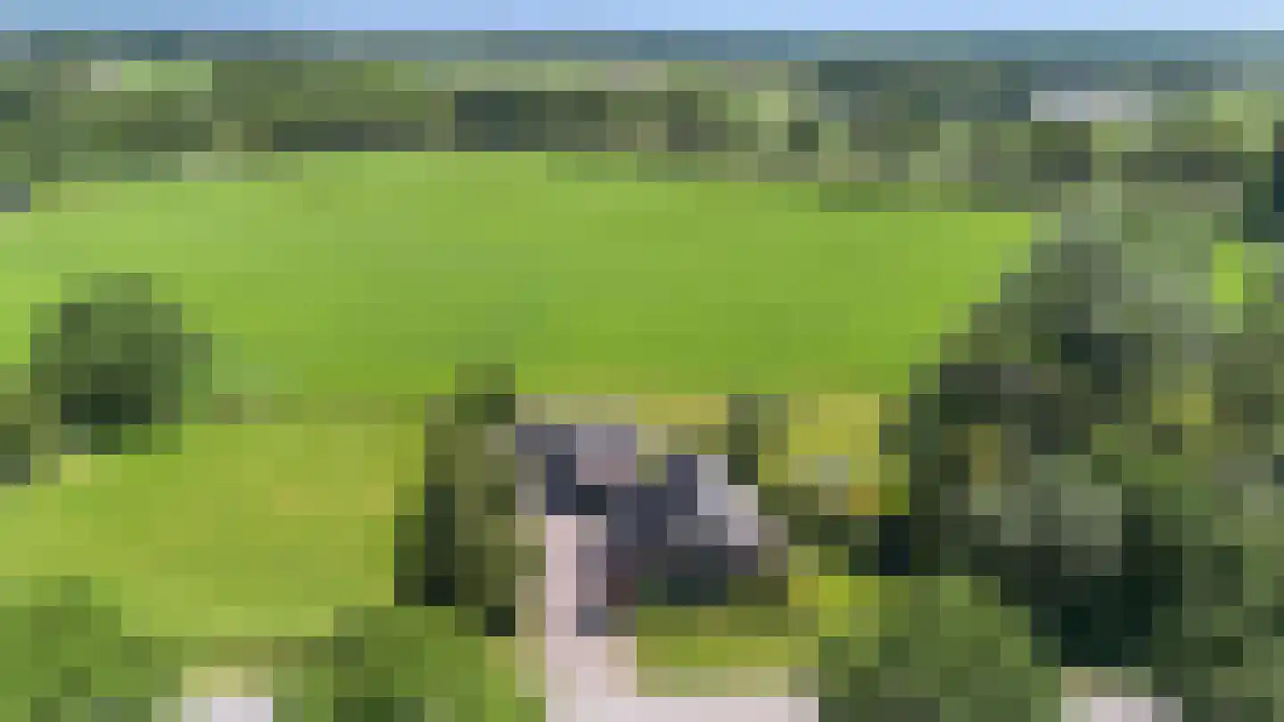 Eerbeekseweg 28 Hall thumbnail 11
