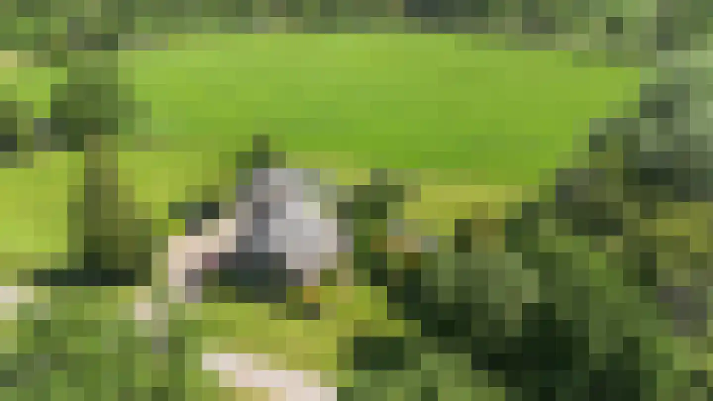 Eerbeekseweg 28 Hall thumbnail 12