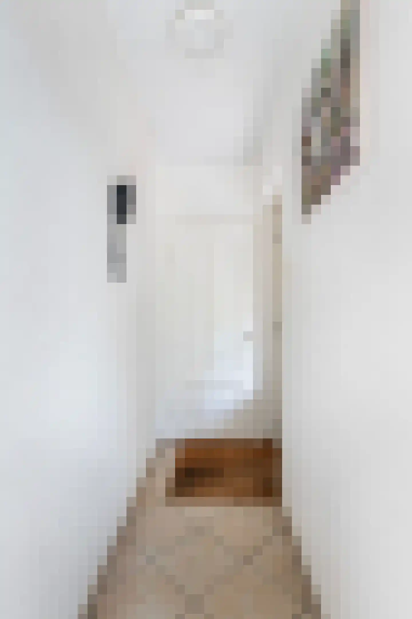 Eerbeekseweg 28 Hall thumbnail 23