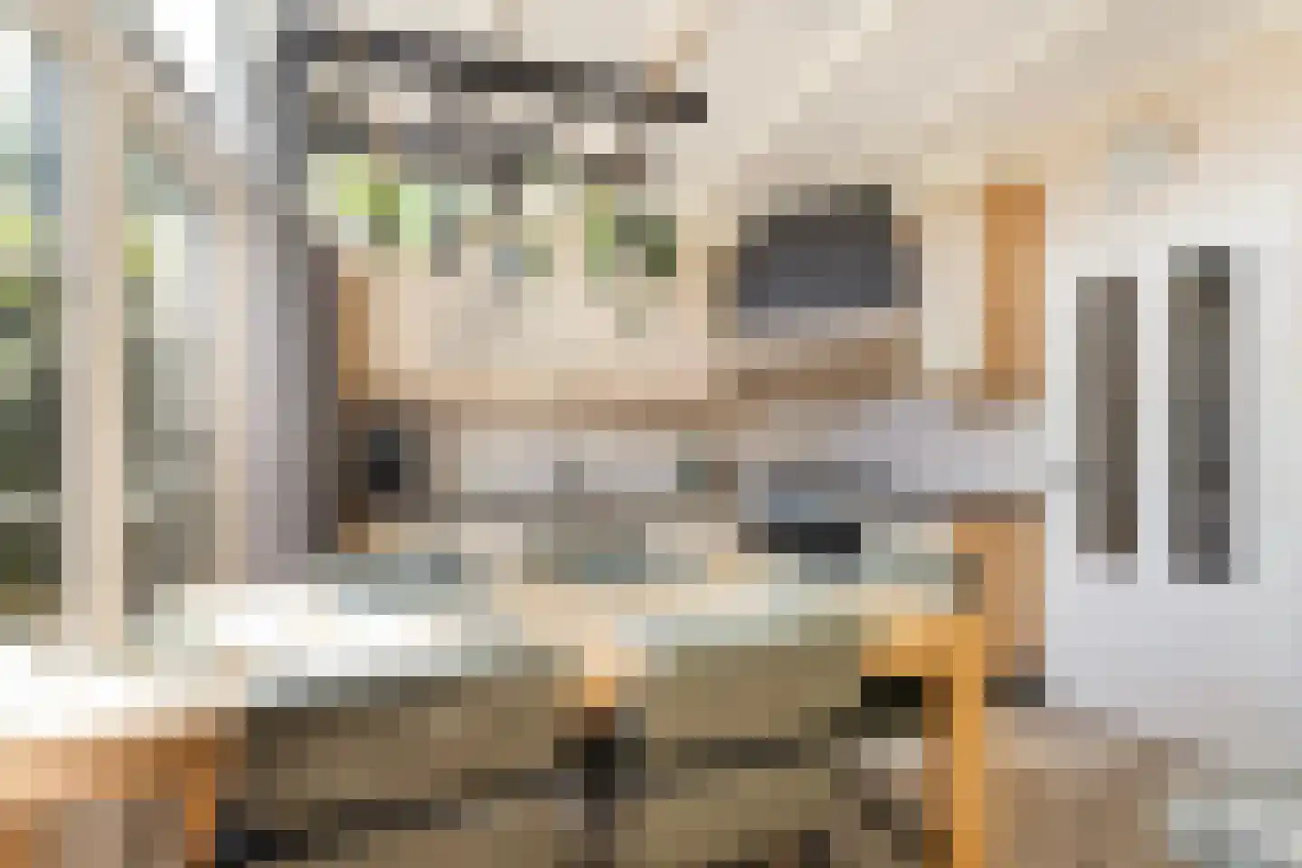 Eerbeekseweg 28 Hall thumbnail 34