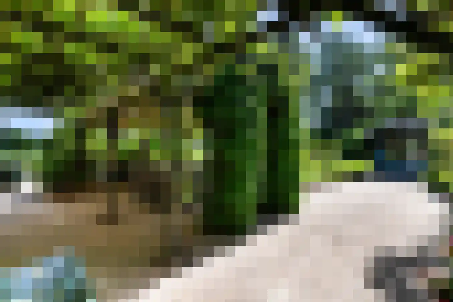 Eerbeekseweg 28 Hall thumbnail 39