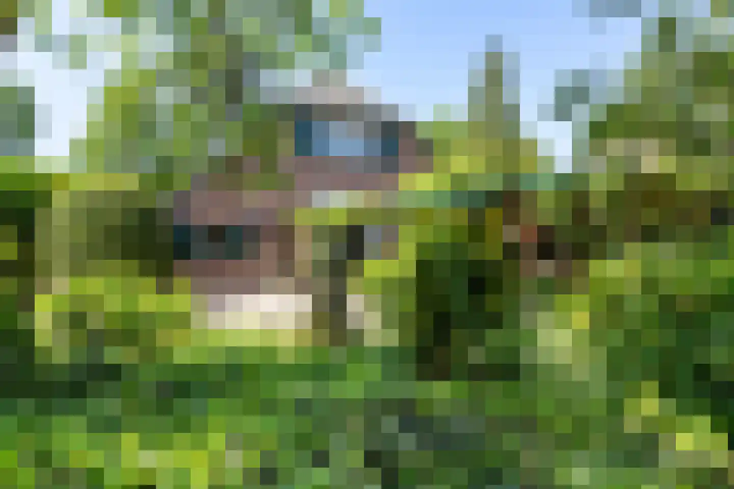 Eerbeekseweg 28 Hall thumbnail 42