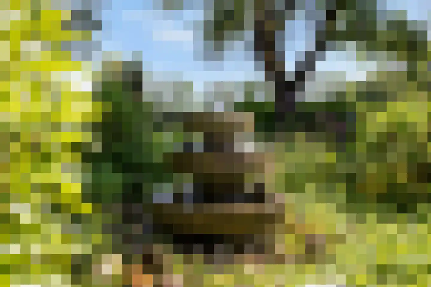 Eerbeekseweg 28 Hall thumbnail 45
