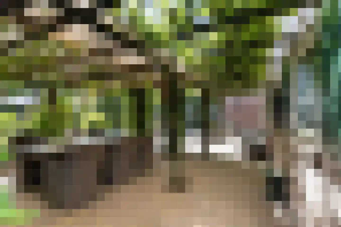 Eerbeekseweg 28 Hall thumbnail 5