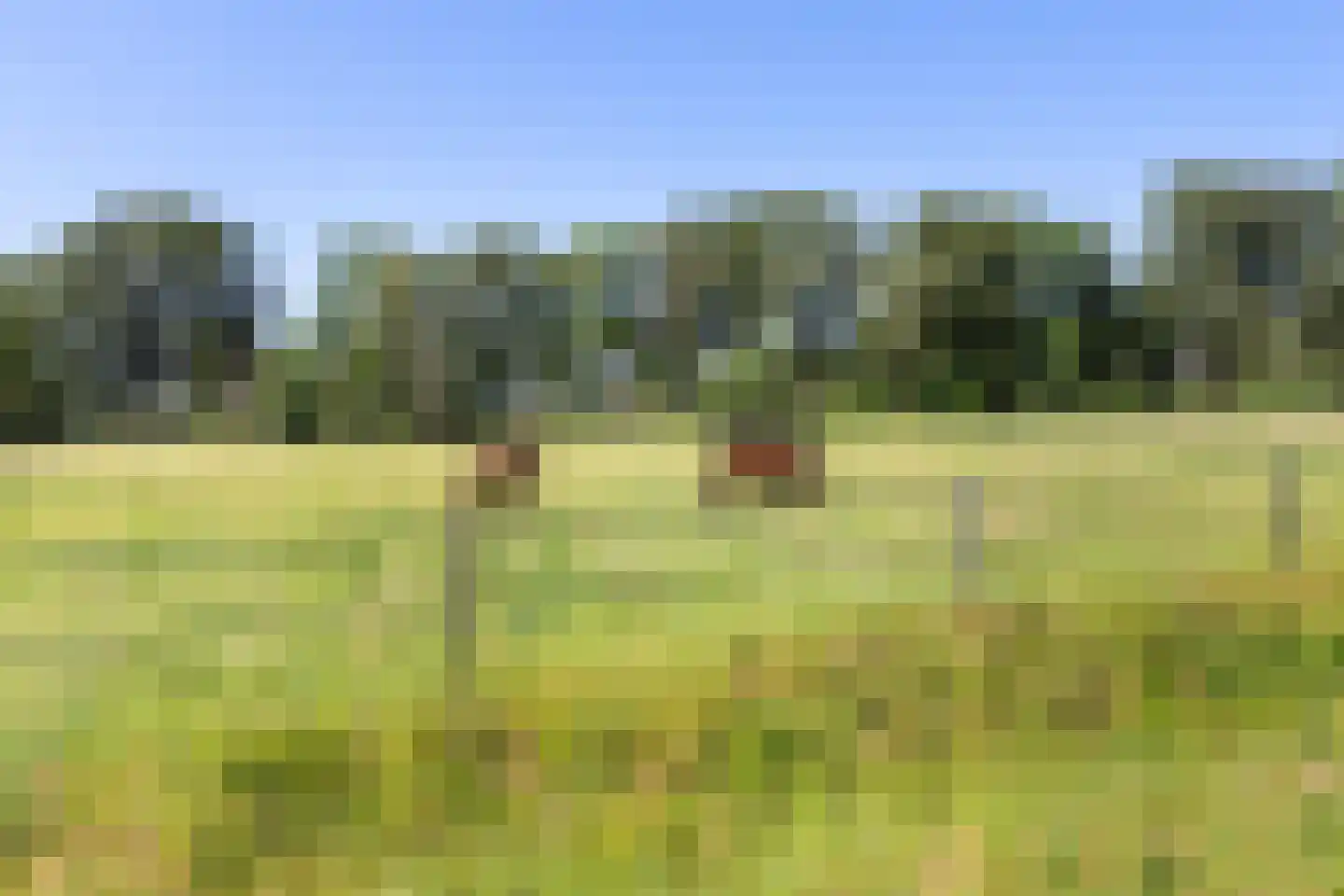 Eerbeekseweg 28 Hall thumbnail 64