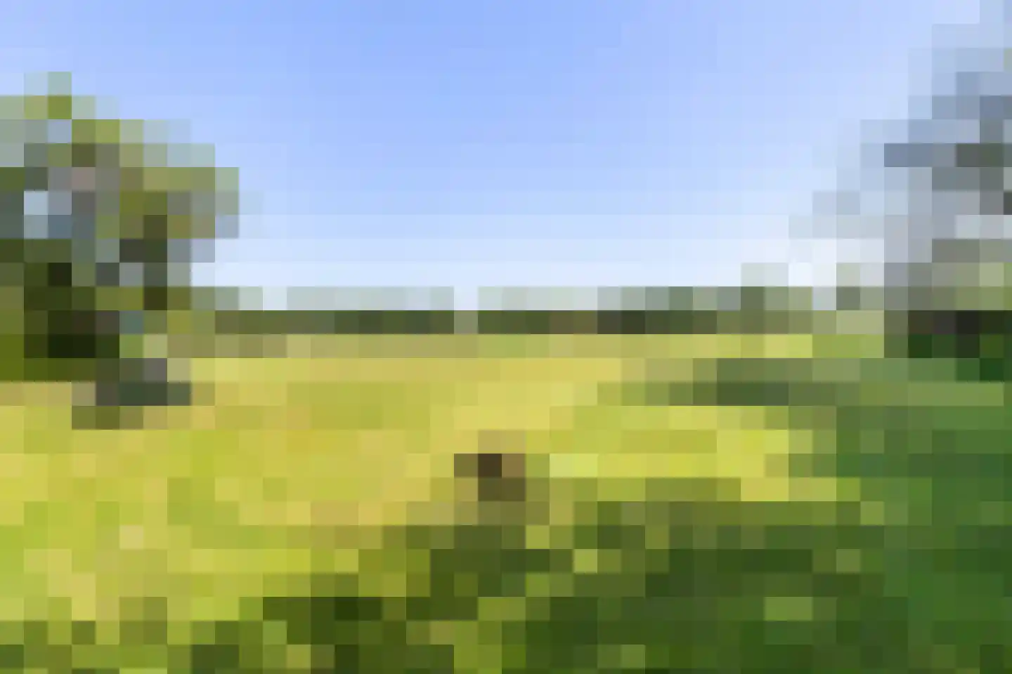 Eerbeekseweg 28 Hall thumbnail 65