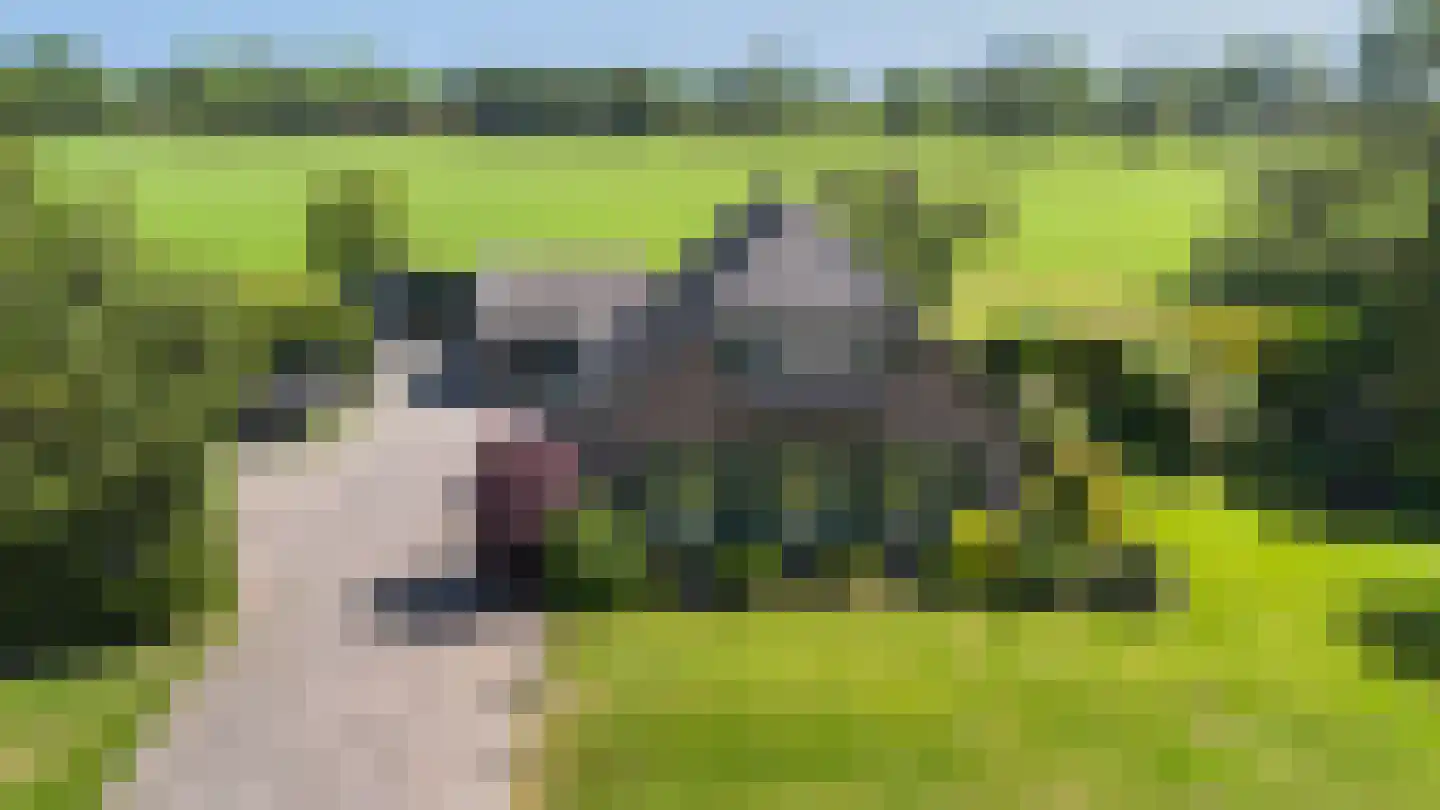 Eerbeekseweg 28 Hall thumbnail 9