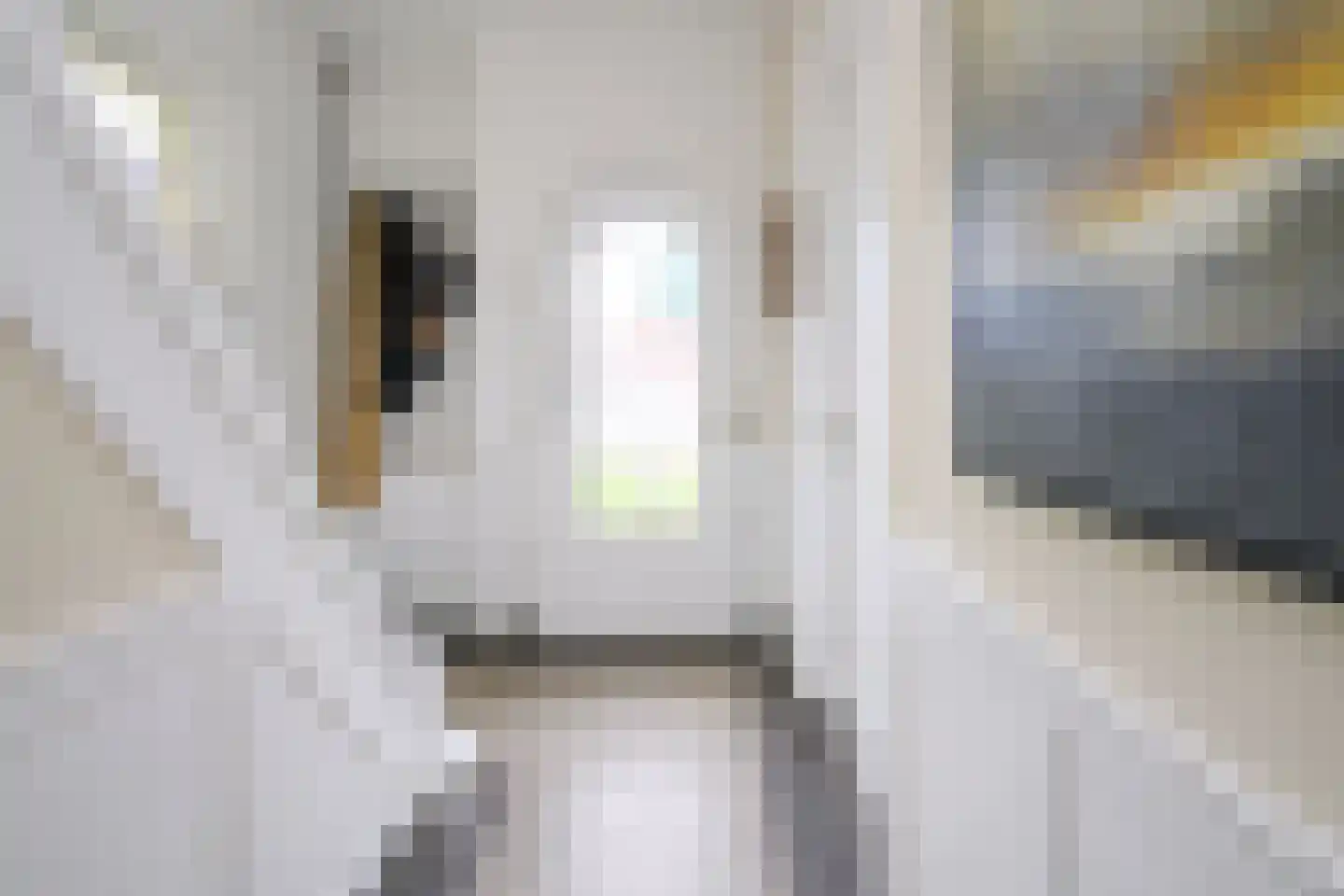 Eerbeekseweg 29 Loenen thumbnail 18