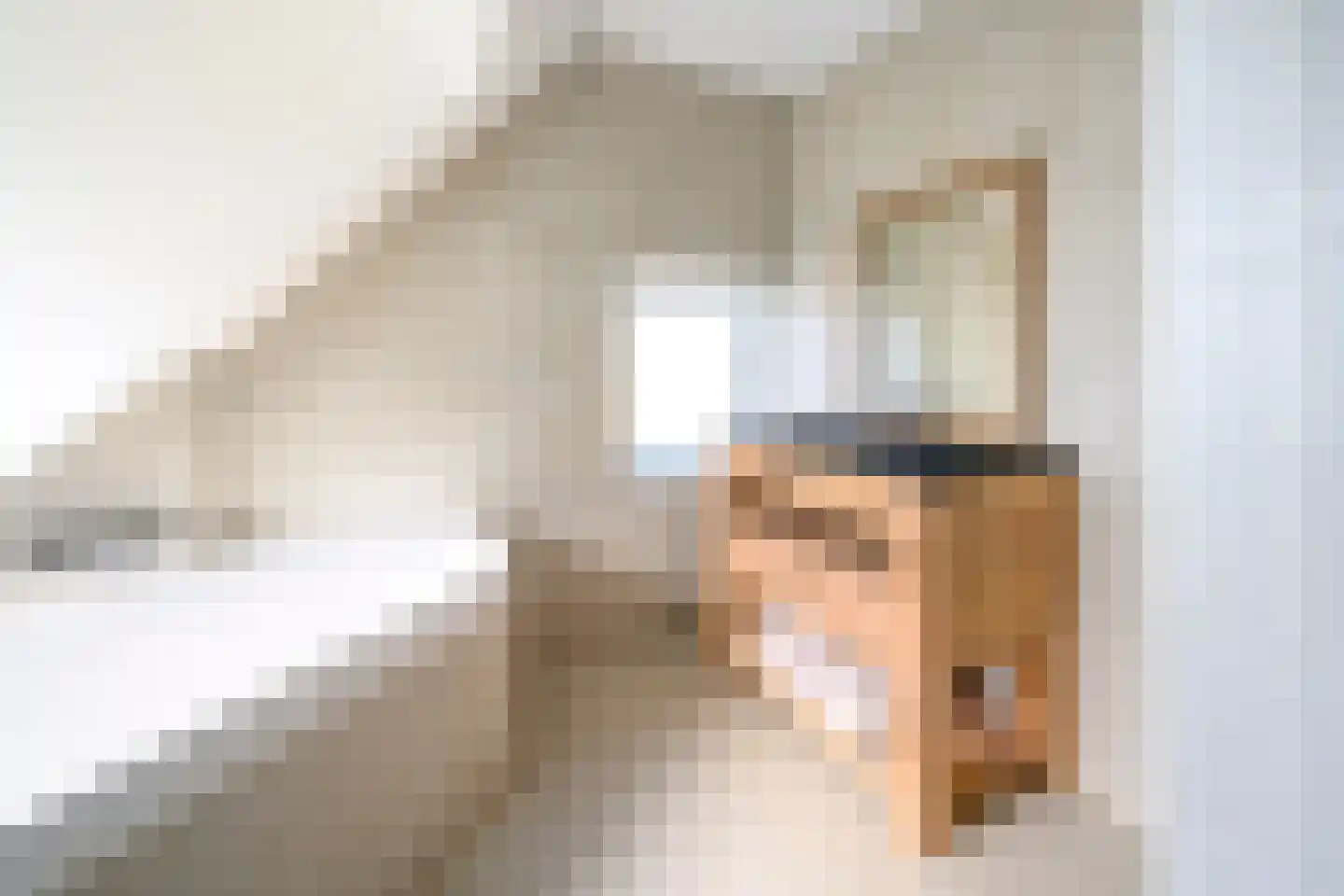 Eerbeekseweg 29 Loenen thumbnail 24