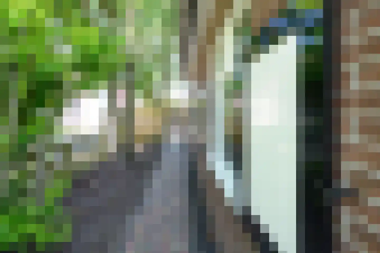 Eerbeekseweg 29 Loenen thumbnail 33
