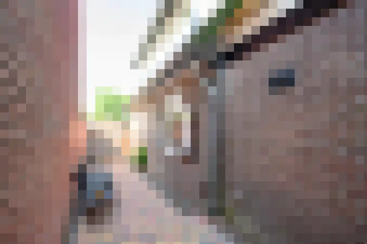 Eerbeekseweg 29 Loenen thumbnail 34