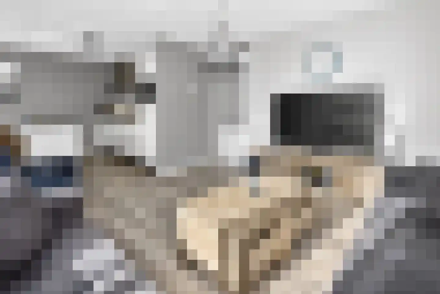 Eerbeekseweg 31 L Loenen thumbnail 11