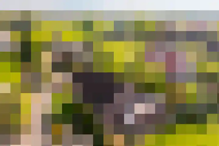 Eerbeekseweg 41 A Loenen thumbnail 30