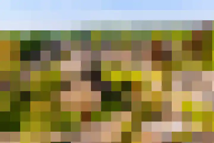 Eerbeekseweg 41 A Loenen thumbnail 31